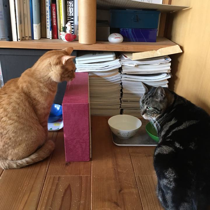 13edb127 bb75 4655 abb3 e880a57220db 1555333117732