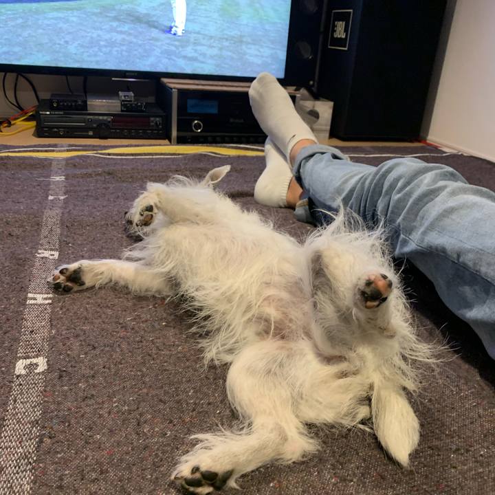 13edbda6 e590 4e3e a861 4a98c9235dcf 1678968383915