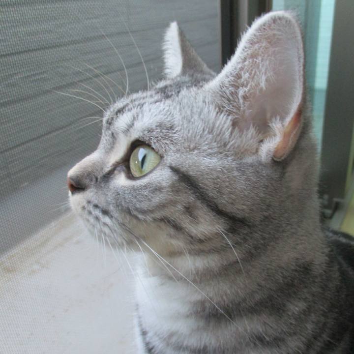 13edcc90 3705 4151 bd68 a052b1cdfd55 1570021094115