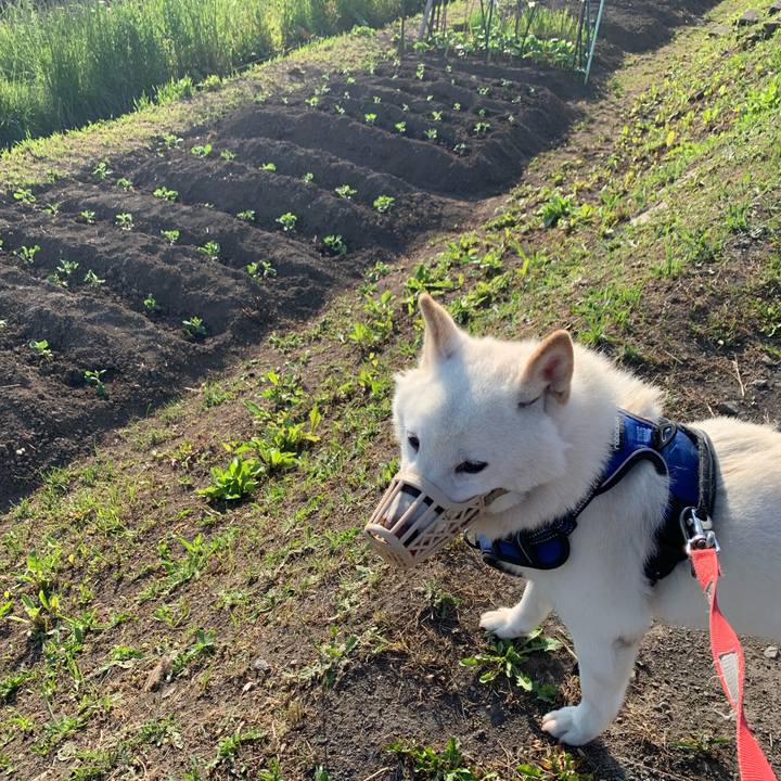 13edeae2 e64f 4a4d 94f8 4b4866ef1916 1623616547820