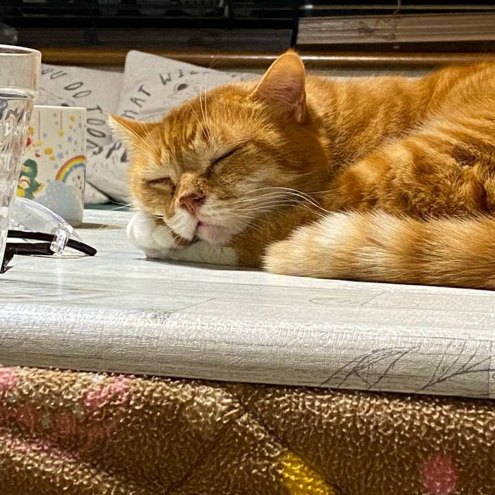 13ee0355 e5f6 4345 b7e9 bce791e22c51 1611488221013