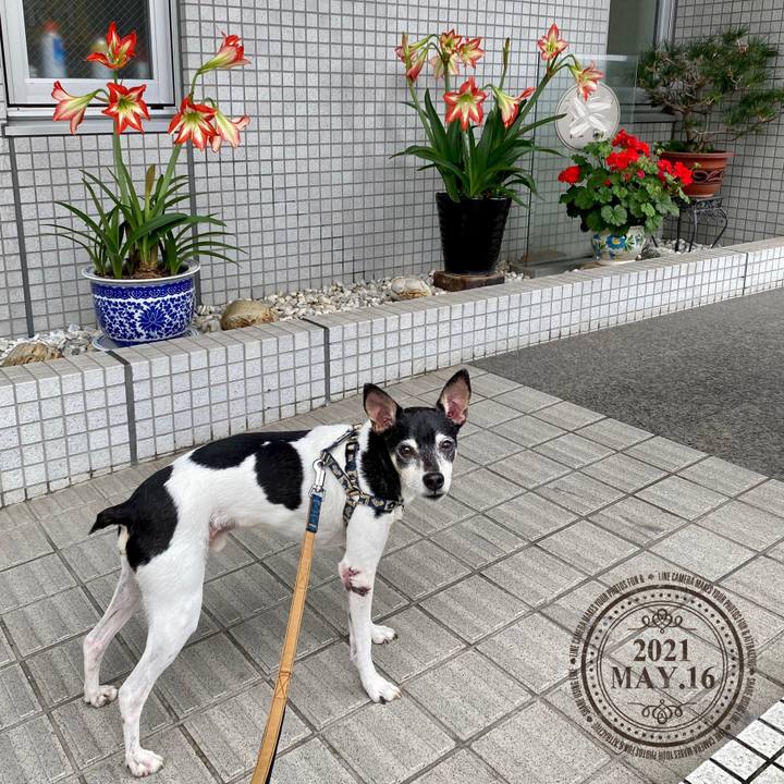 13ee11ef cef3 4f0f 8912 1deb924c181f 1621130583752