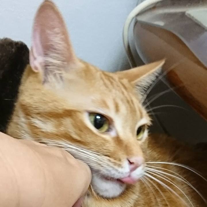 13ee3c2a 103f 4943 a089 2027eccc84cc 1513292880702