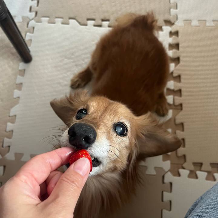 13ee4b18 0ba2 4cbc ac74 d2207fd7660c 1678968027596