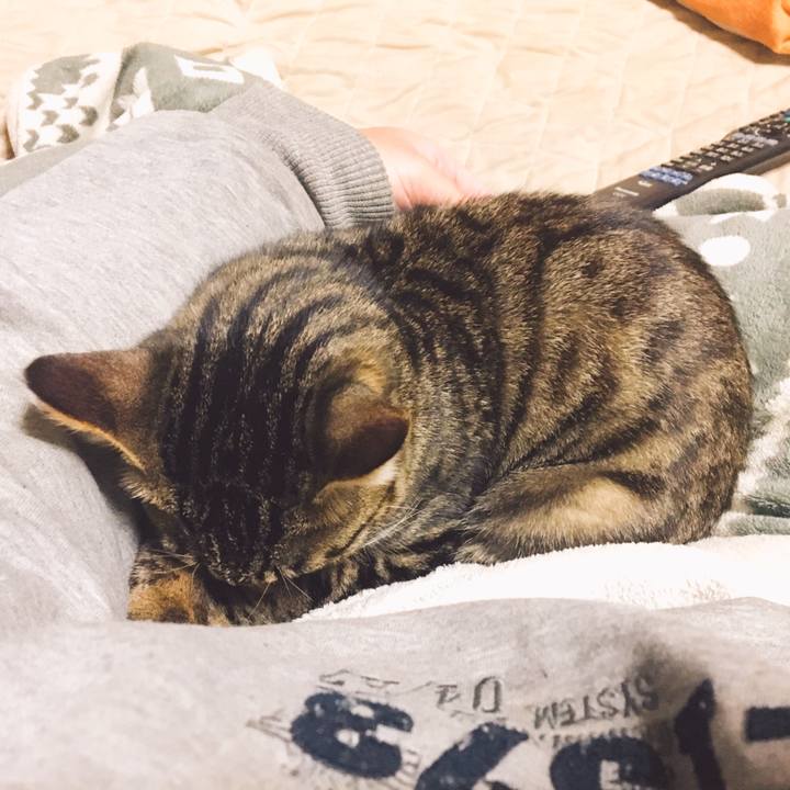 13ee67ed 3e5a 43c1 ad54 43f291e1efa6 1542200271706