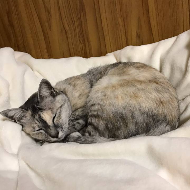 13eeee5b 4e23 4619 bf80 9bca2bd14298 1540132760660