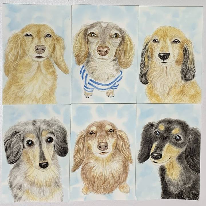 13ef01b6 4a0f 4dfd bcf4 e8957e665c56 1698659886726