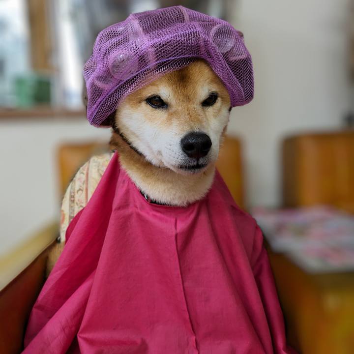 13ef2b0c b317 4e15 858a 0f9391b718ad 1718770534886