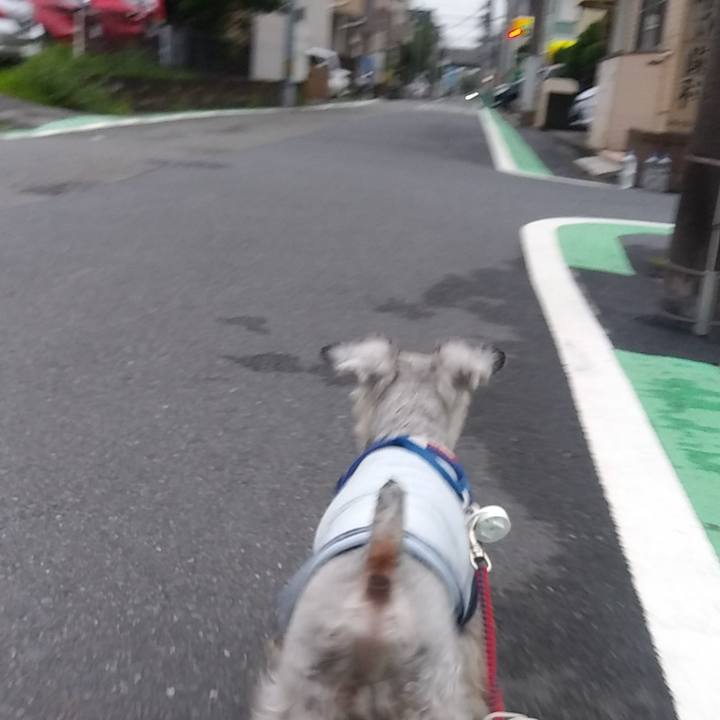 13ef68bd 1635 4108 b0e1 deb78acc0b0b 1629151794475