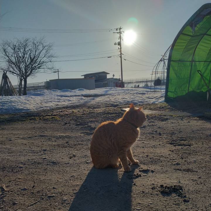 13ef74ed 6502 482b 8af9 ac6071f3918c 1677971784242