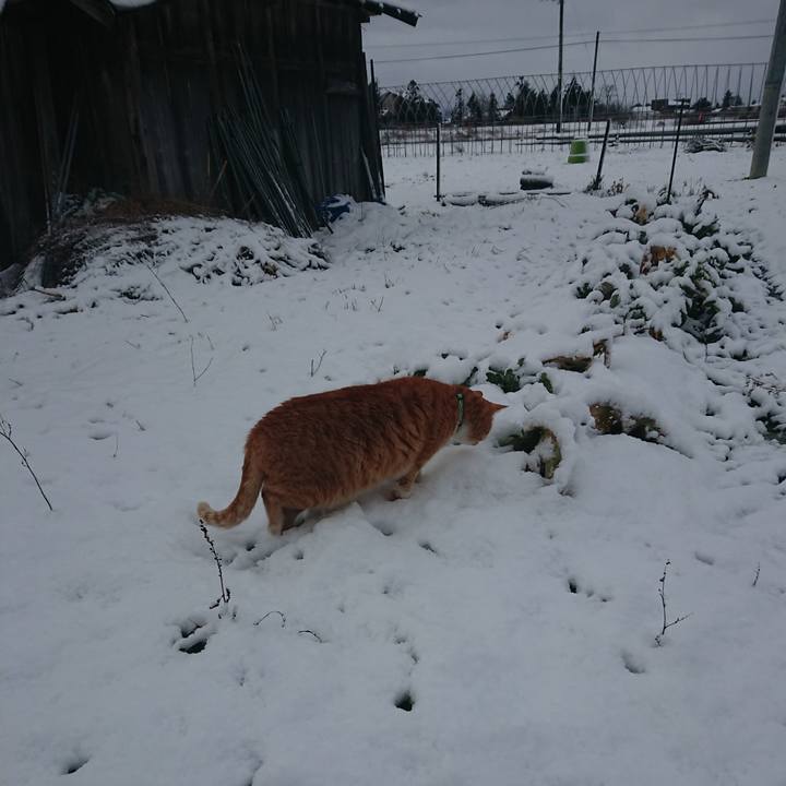 13efbb74 e762 446e a885 08dfd52fb30f 1580508013740