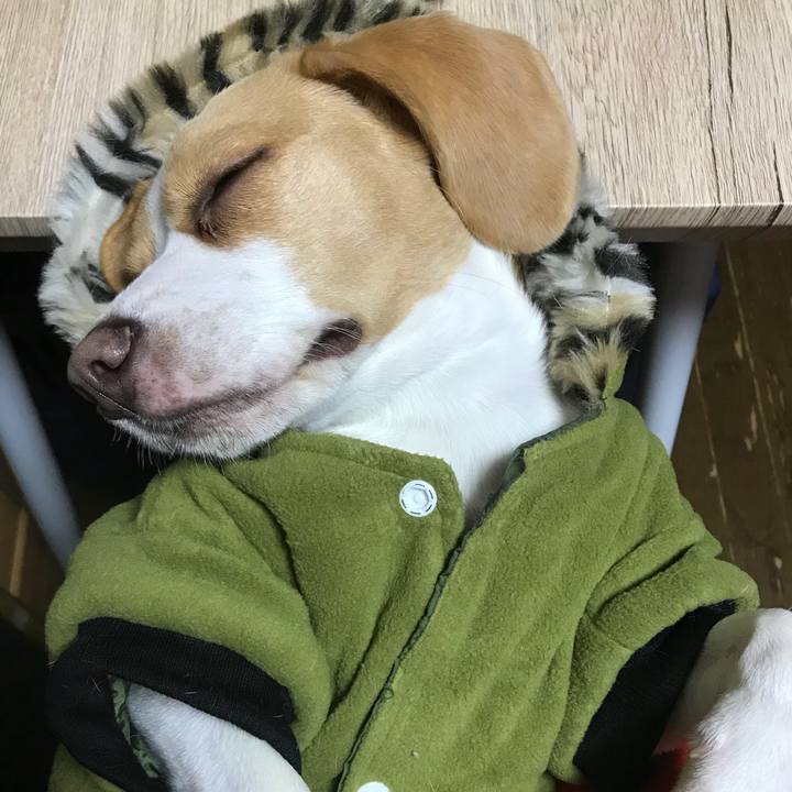 13efc46d 2130 4d60 809b cb88059b9b2a 1509189419292