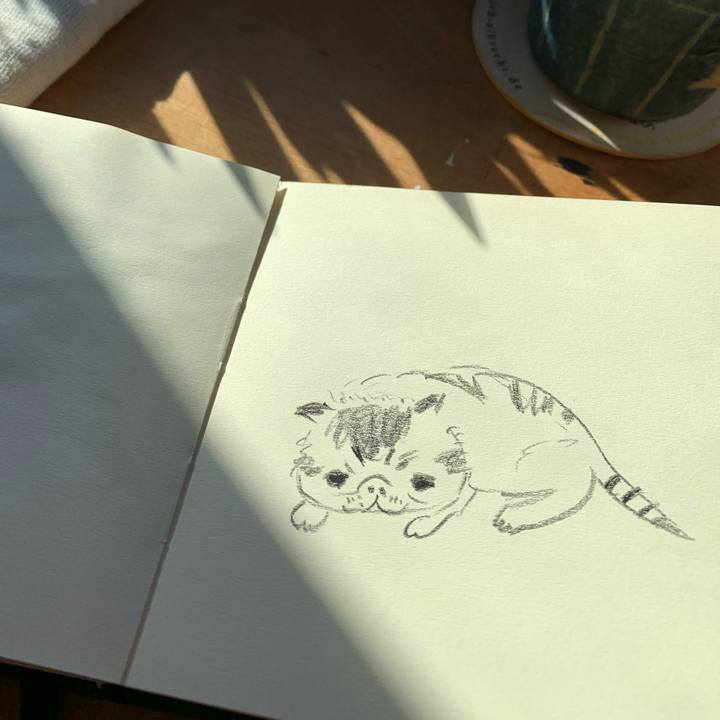 13efd357 8dc2 4ef7 bc7c 33cc2b14d738 1666136234470