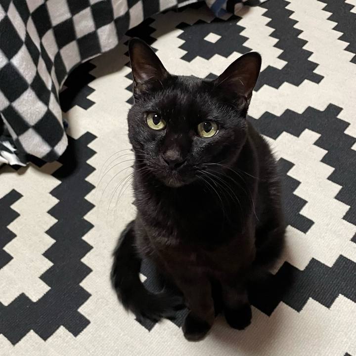 13efdbab 1a01 44ea 9465 e286f02f4b05 1768464193355