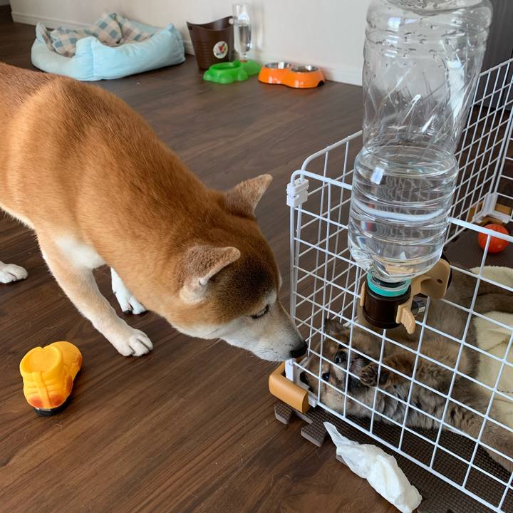 13f0163e 2daa 4cb1 8729 7798d1371ed9 1615788964683