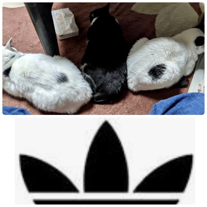 13f01f50 394b 4bf0 9b62 26e3964d09d8 1618749931761