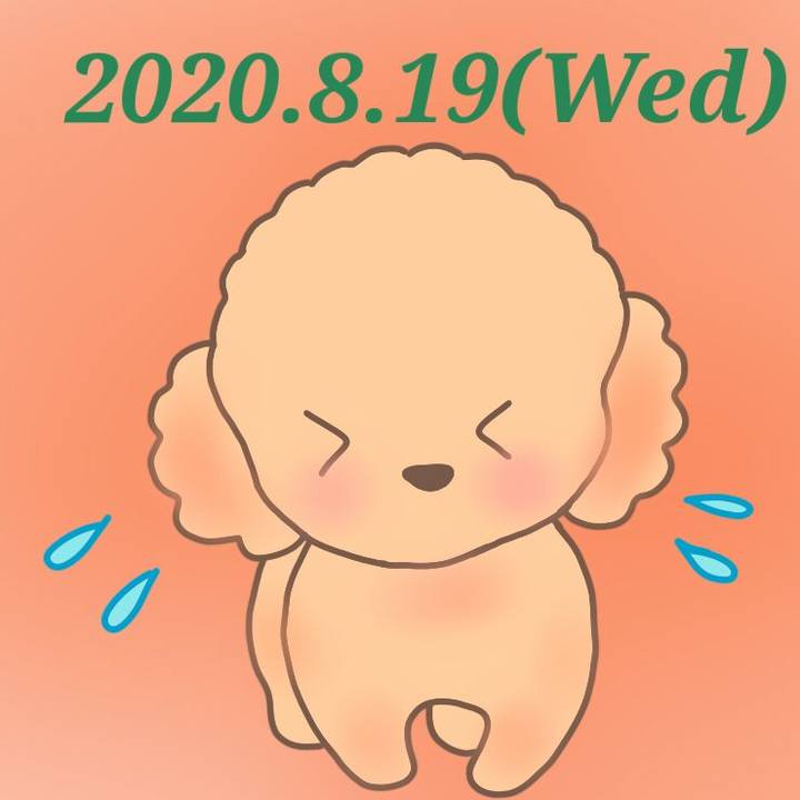 13f060e6 7fb2 4d53 80fa a70eab62ee4a 1597837449037
