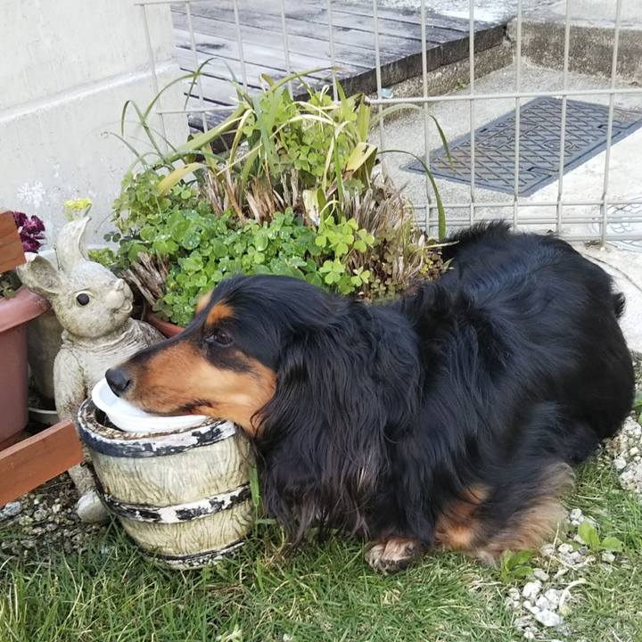 13f06815 06ca 4afa 9c4a 088bdbabe15b 1620809598691