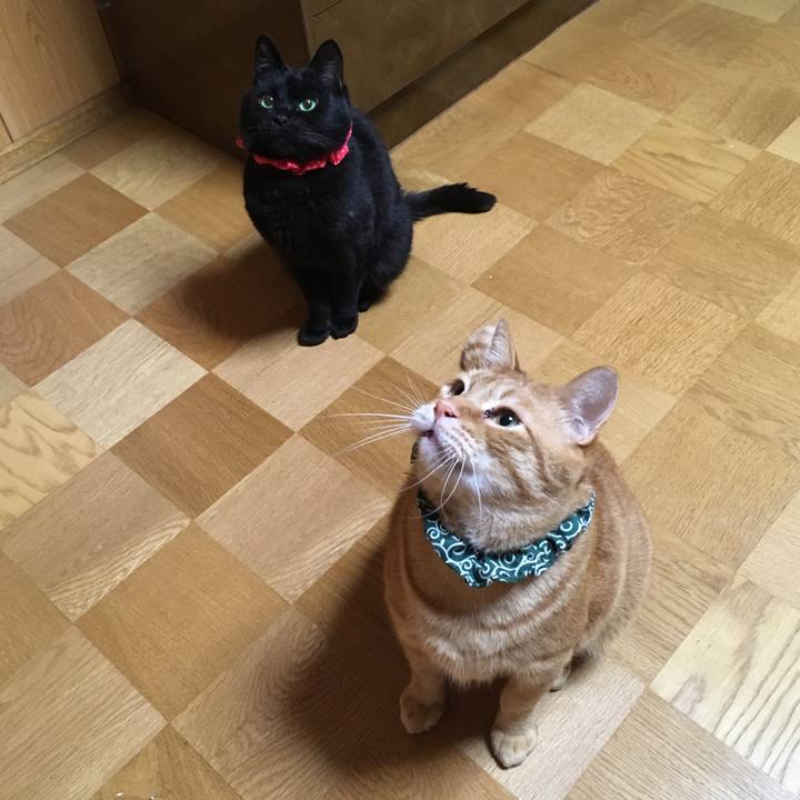 13f06ea9 f20e 4590 8535 ee4f742885fa 1550234375225