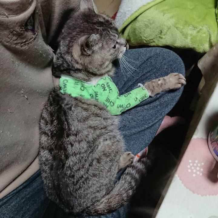 13f0f87d e00e 4267 bb8d 83260937d51c 1587413964964