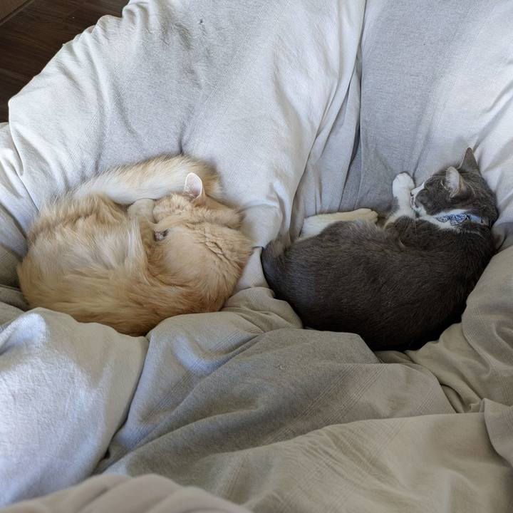 13f109f0 18de 4261 8f73 3e96b17511b3 1762131504819