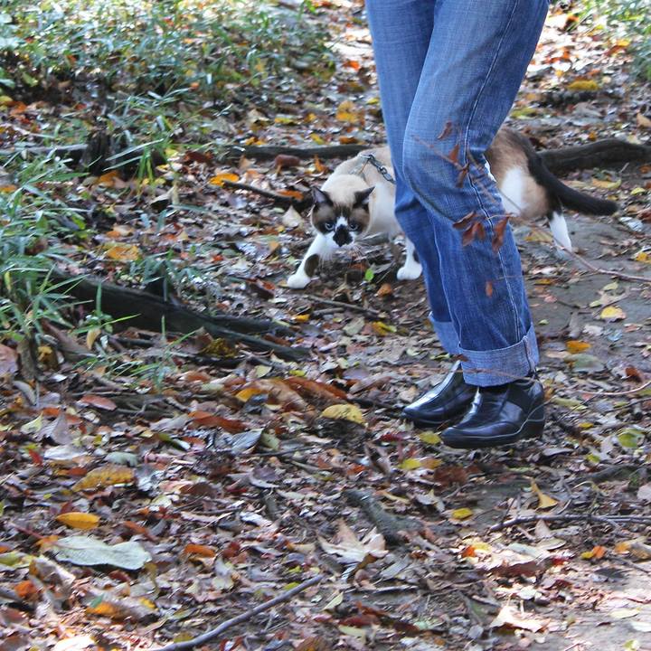 13f11248 c836 4090 b232 d41e44f96ca8 1544831584966