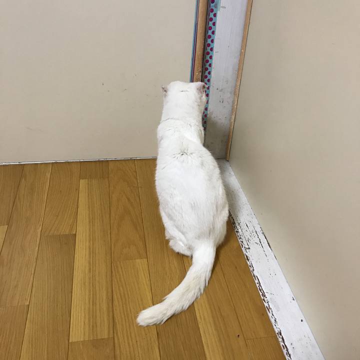 13f14ecd 7b1f 4258 a56b 510dc91571fb 1541340700340