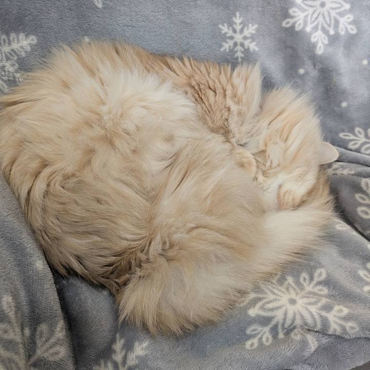 13f1570e 72c8 49ba bf79 0fe13db04252 1739758910998