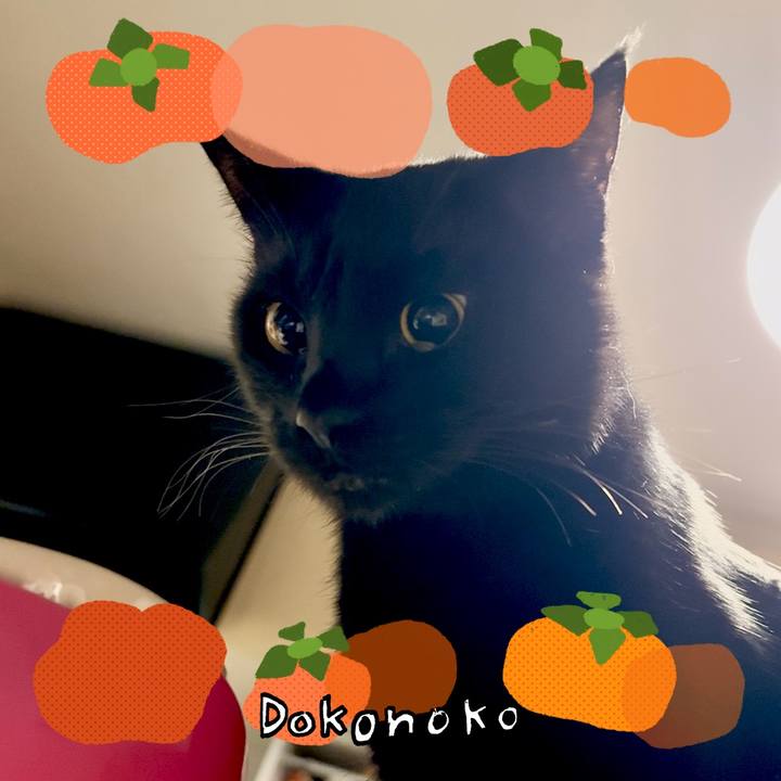 13f17df3 ab3e 4ea2 a4f4 a07eb2d1e4db 1761297455813