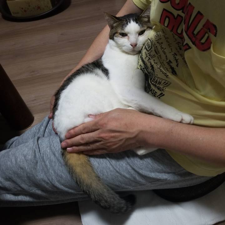 13f17f15 3f4f 40d9 aed1 20dfbdf2dcb8 1589540210215