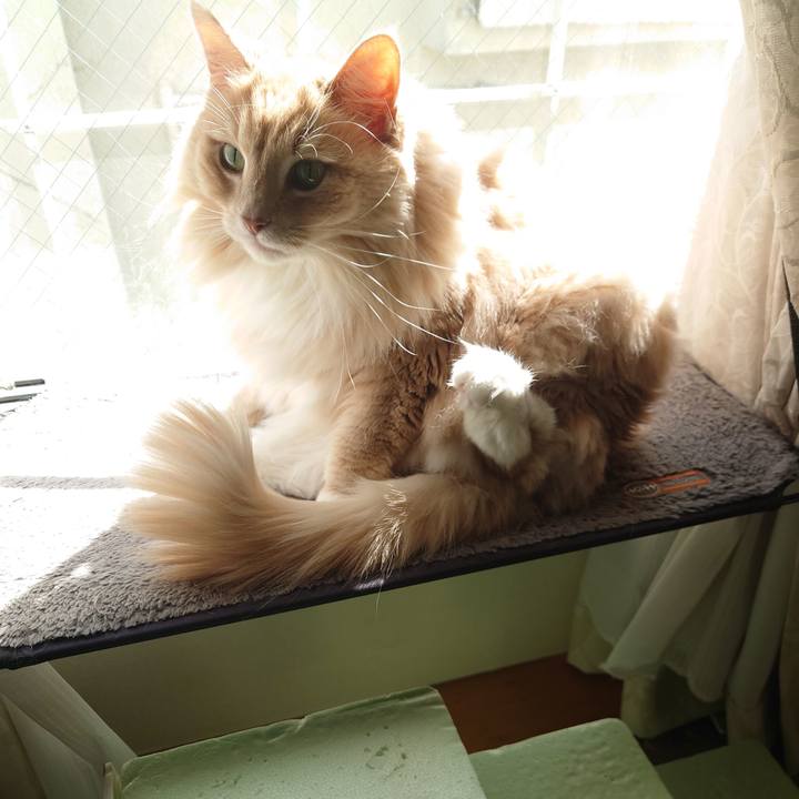 13f18df7 84ae 4617 ac76 0be60b94b474 1644375884682