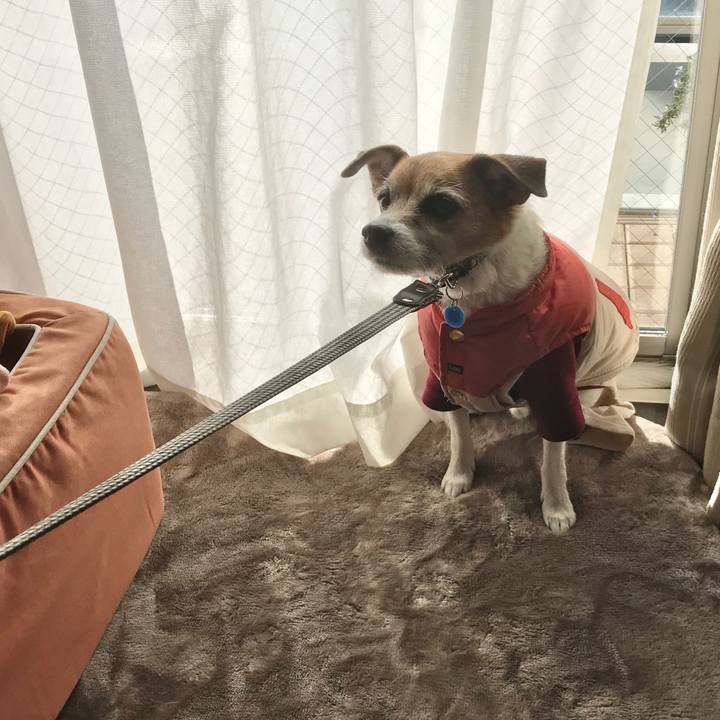 13f1a236 bbd5 4c86 be0f 7efbb40c4325 1581224119417