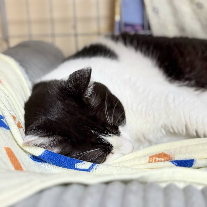 13f1a6c9 22b1 4220 925f 9335b4b4fa8e 1731202112972