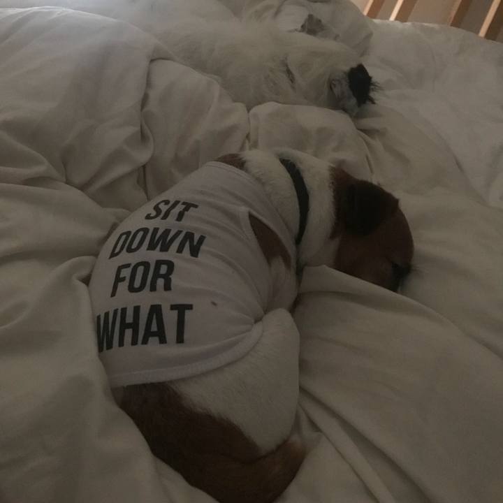 13f1c81a 11a2 411b bdbb ebad85499586 1531149318779