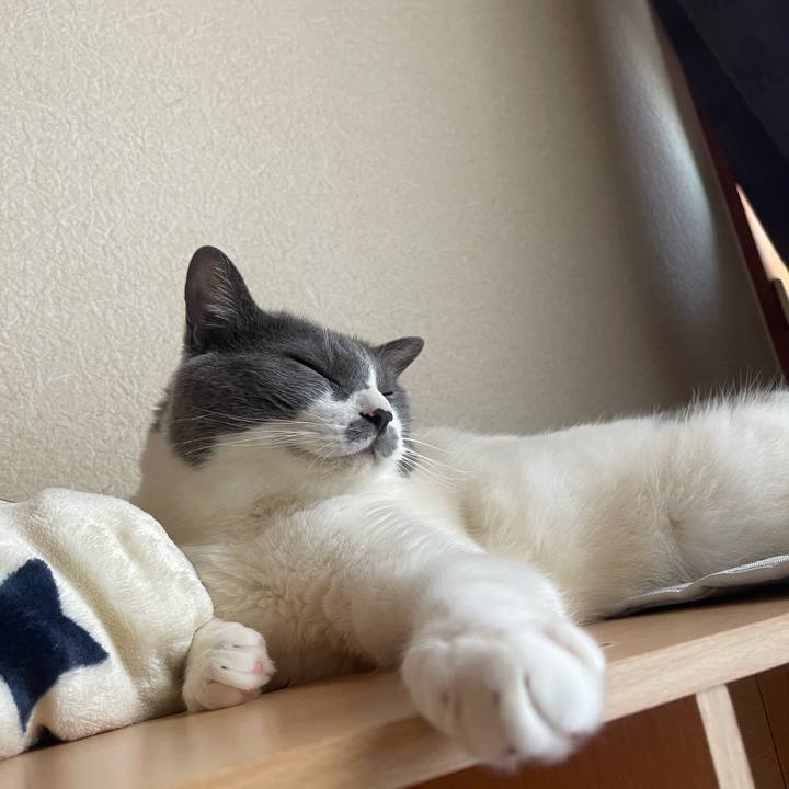 13f20345 dac6 44f5 b107 73d97dc909f3 1750143015425