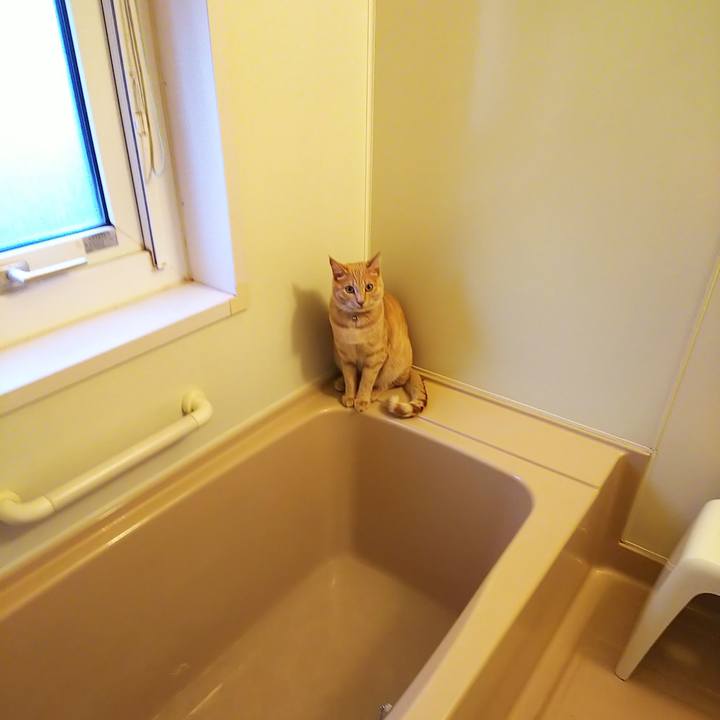 13f2490f ac54 48f9 928f ed5b90e9f376 1559467976751