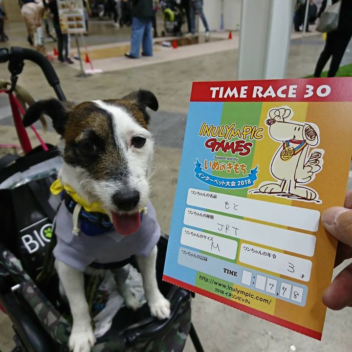 13f24920 e0a6 45cc 87ab 7af3b3e4ae82 1522556111495