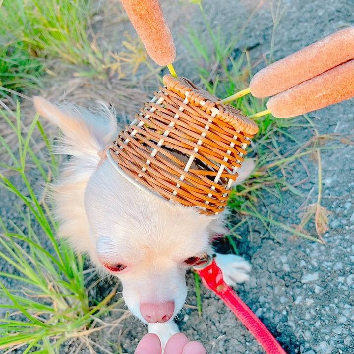 13f25137 d32b 424b 88eb 95a8e9927261 1633874325430