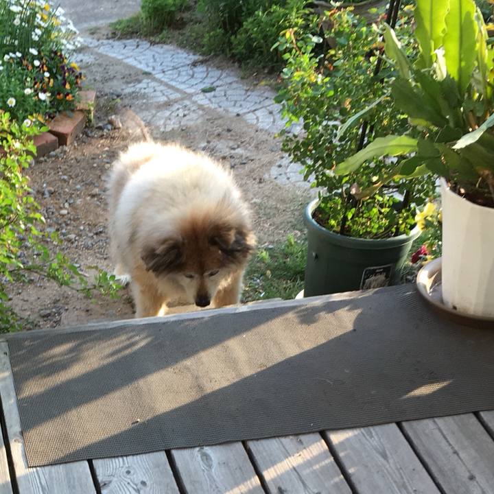 13f25220 ca8c 45c1 9c48 314853b2edce 1559601100527