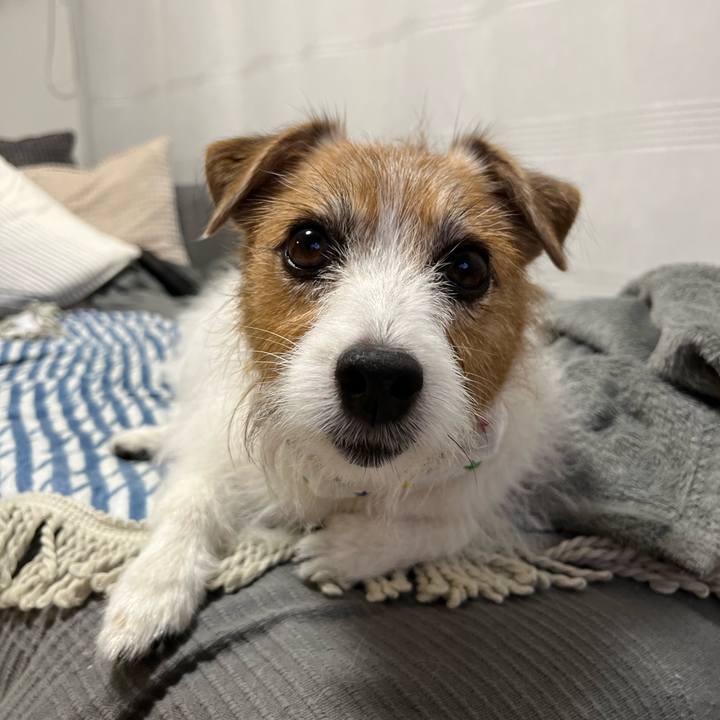 13f253bf d6bc 47c9 8cb2 686222d960b6 1698410393336