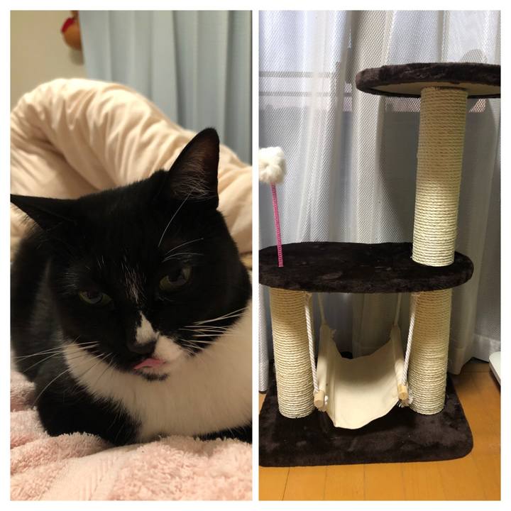 13f28775 1dcc 466f ac56 e8a5331d4d7b 1586081606812