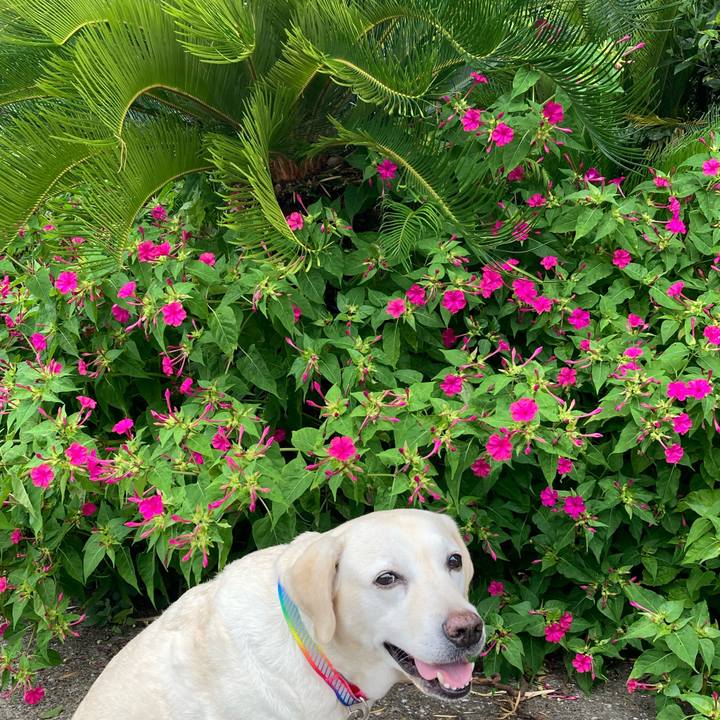 13f28940 1710 41c5 99f2 422a908f7129 1752298744628