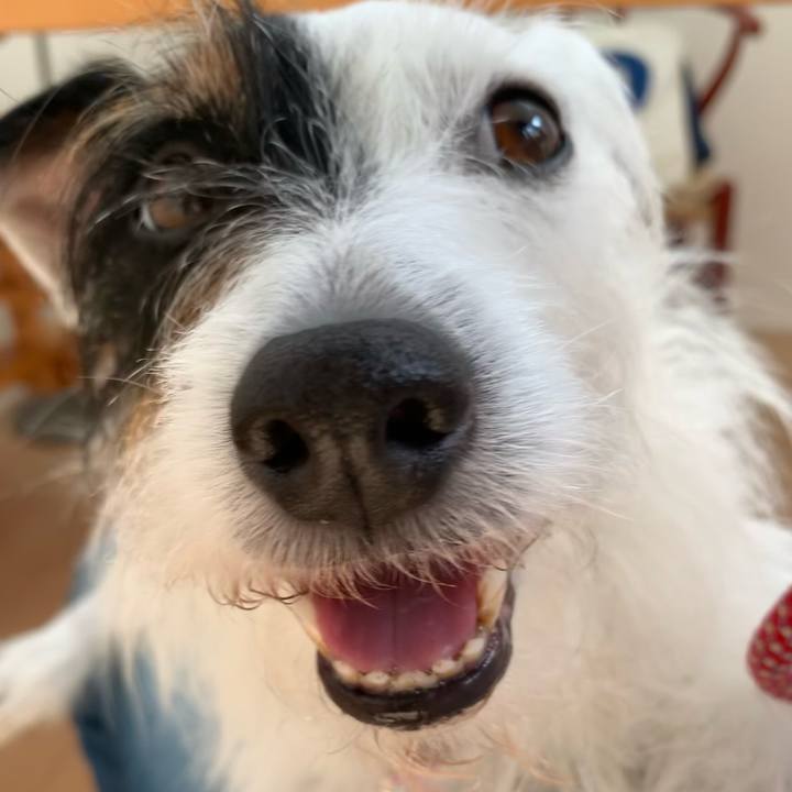 13f2f74d 23b6 46d8 82a4 f2dd4c879ff5 1653544068069