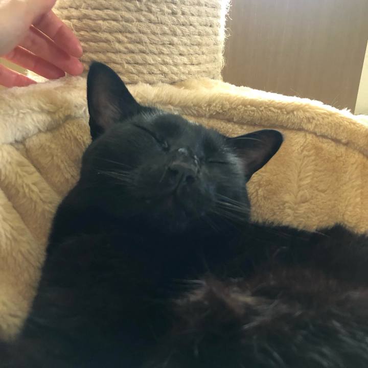 13f2ff8e b1b8 43fb 8f17 7deaf4fdf78b 1628943692167