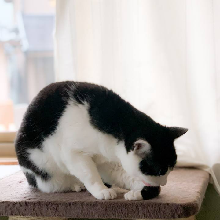 13f32e3a 3ee5 415b 8b47 fca65e294cb3 1588903264621