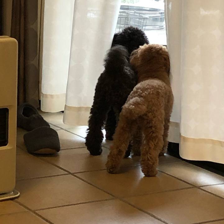 13f3566e 66d4 4ee5 97a9 b5badd0b33bd 1580261567901