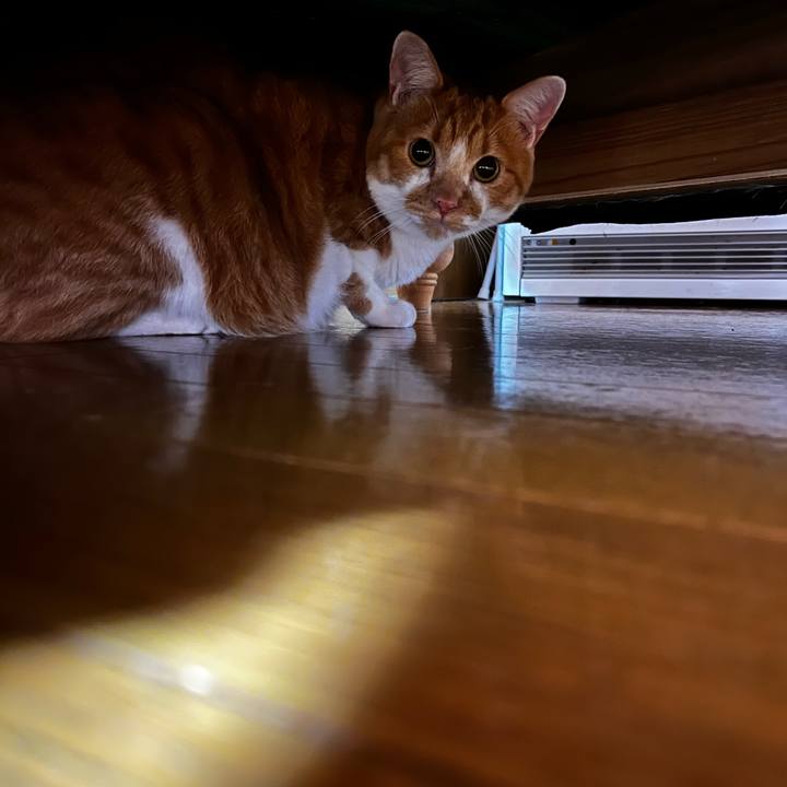 13f359e6 a47e 48cc 8564 a077615c8adf 1715649509218