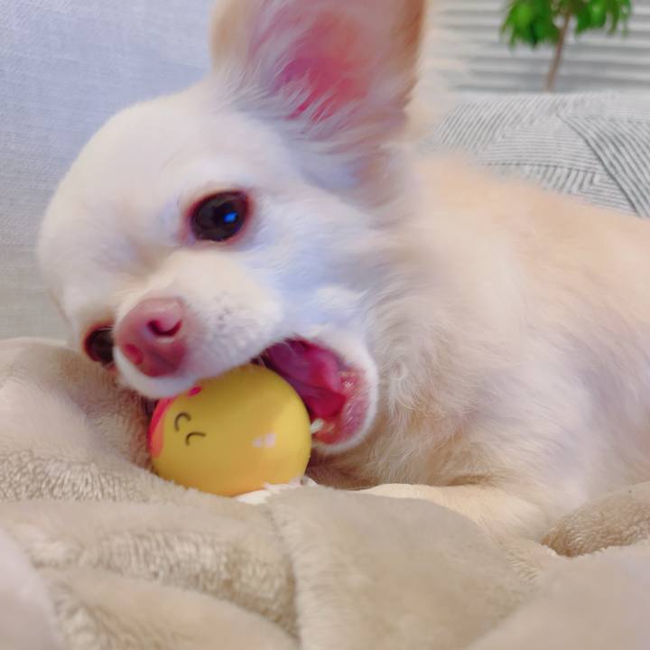 13f36a45 4c3d 4346 ae01 e492b726e402 1692187684539