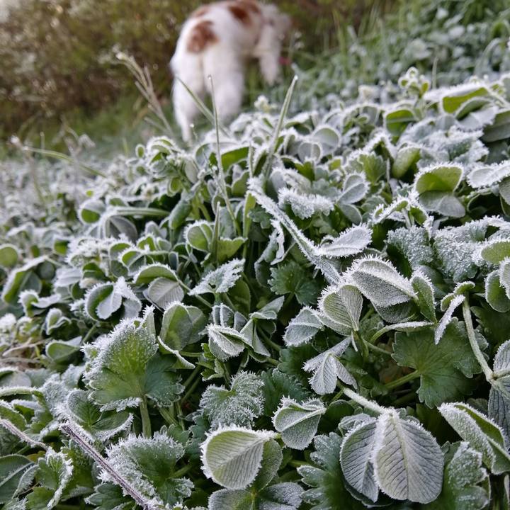 13f37ac4 3c46 4a39 ad46 481aca35ad72 1584405296817