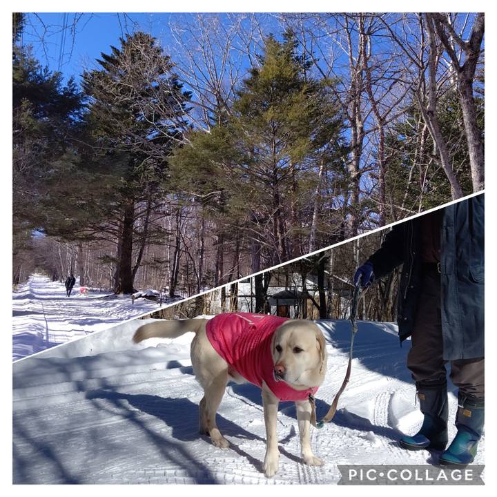 13f387b0 c946 41f2 836b 5285ef556c9f 1673404029558